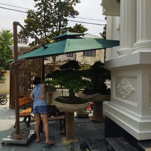 Dù lệch tâm vuông 3m