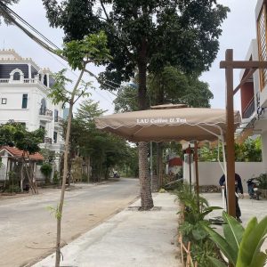 Thay bạt dù che nắng